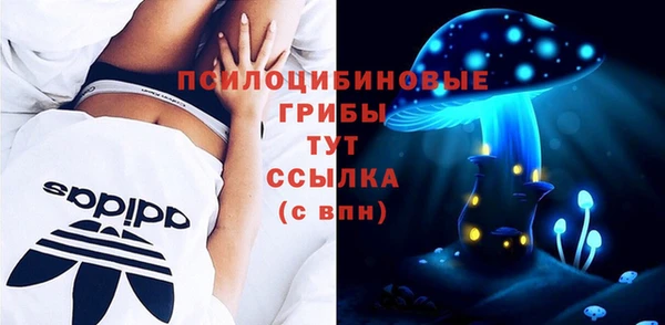 дурь Алексеевка