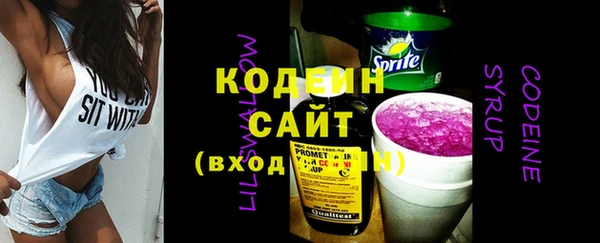ECSTASY Алзамай
